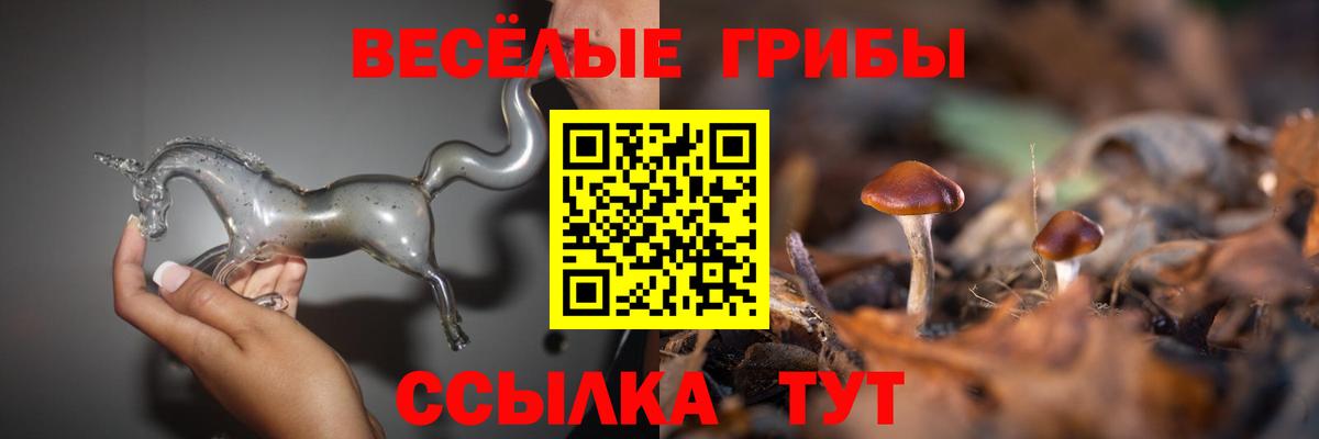 Псилоцибиновые грибы мухоморы  хочу   Янаул  Вход с VPN 